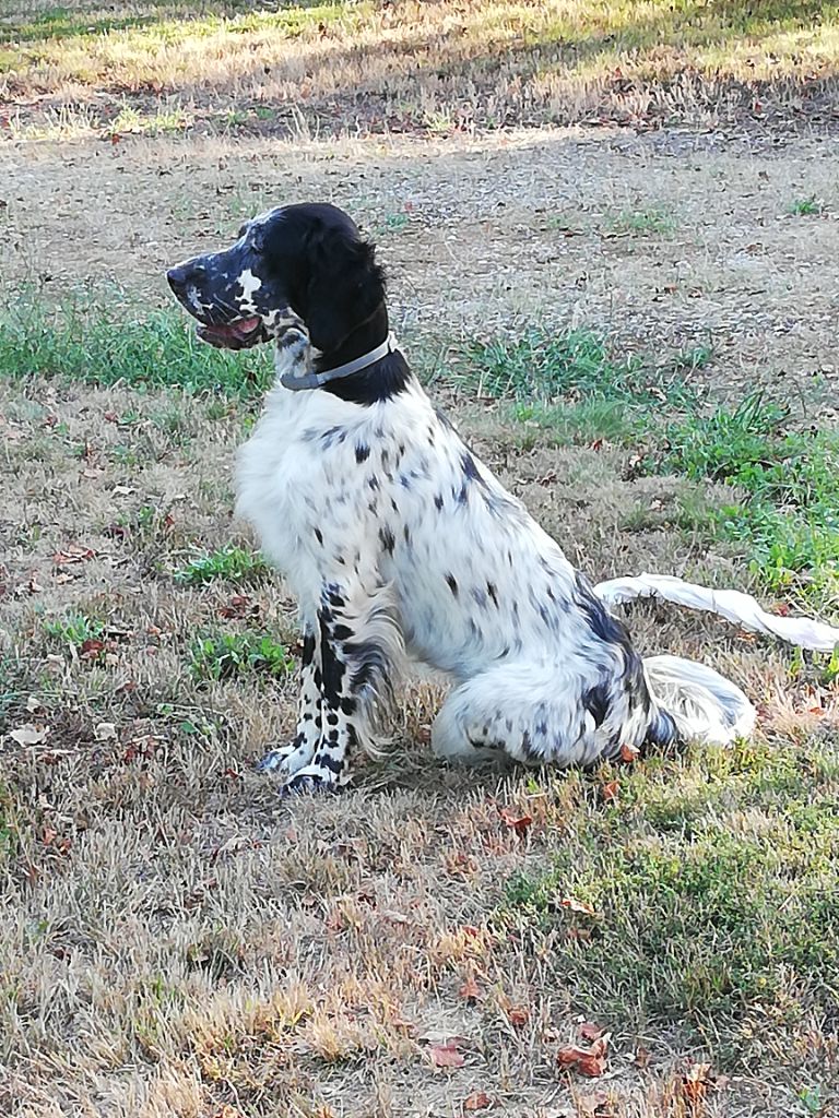 SALLY